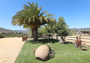 Vallée de Colchagua