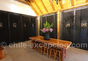 Route des vins du Chili, viña Ravanal