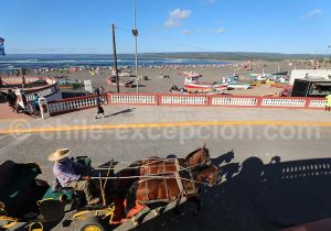 Front de mer à Pichilemu