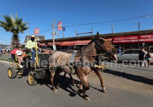 Voyage de noces à Pichilemu