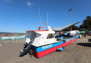 Pichilemu, port de pêche