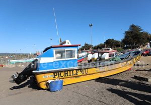 Poissons et crustaçés à Pichilemu