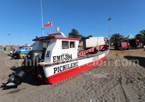 Produits de la mer, Pichilemu