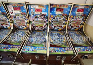 Flippers à Pichilemu