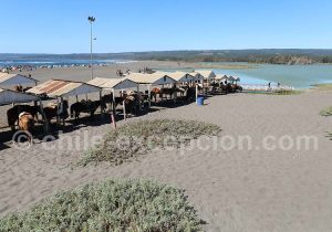 Sports et loisirs à Pichilemu au Chili