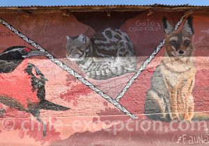 Vallée de Limari peintures murales