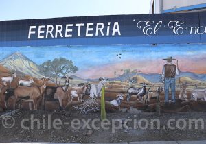 Vallée de Limari petit nord du Chili