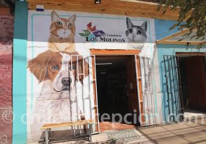 Village vallée de Limari