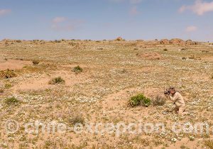 Désert d'Atacama nord du Chili