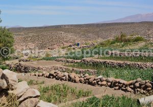 Toconce, Valle Alto del Loa