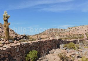 Toconce, Alto El Loa