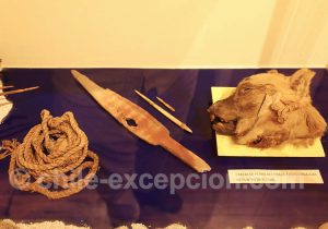 Musée Régional d'Iquique Tête de chien décorée