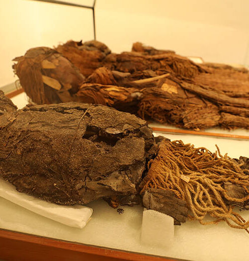 À la Une - Musée régional d'Iquique