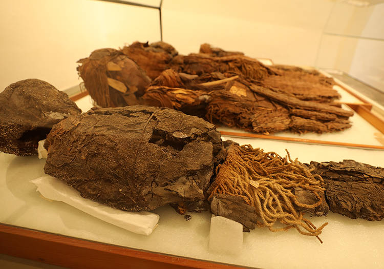 À la Une - Musée régional d'Iquique