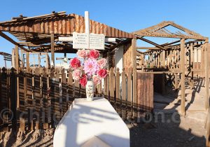 Bouquet de fleurs au cimetière Pampino