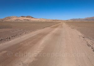 Chug Chug, Atacama