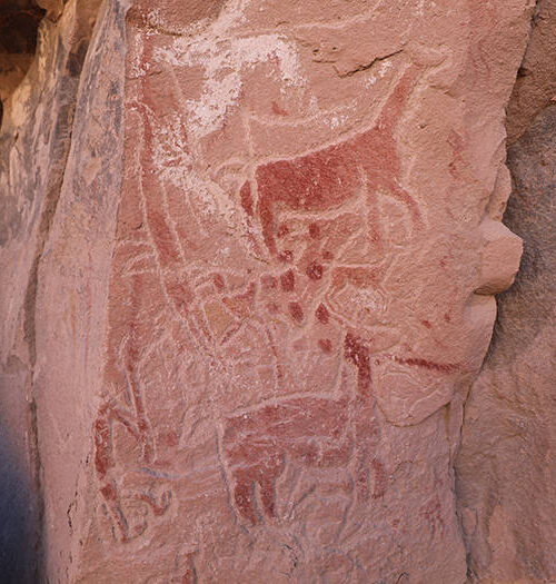 ~ Couverture Taira