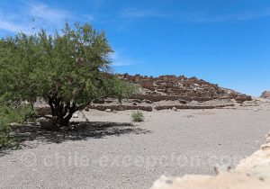 Pukara, Valle Alto El Loa