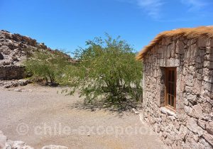 Lasana, Nord du Chili