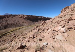 Vallée Alto El Loa