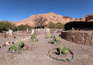 Hotel Alto Atacama, jardin