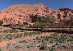 Hotel Alto Atacama, jardin