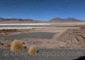 Salar del Huasco Salar del Huasco
