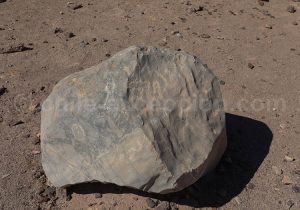 Pierre pétroglyphe Calartoco