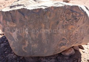 Zoom sur les pétroglyphes de Calartoco