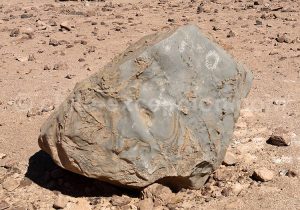 Extrait d'un pétroglyphe