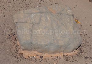 Pierre pétroglyphe Calartoco