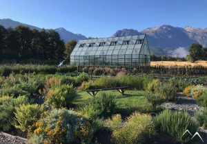 Greenhouse Patagonie chilienne Pata Lodge