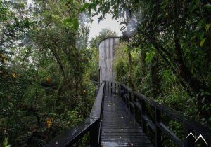 Jardin écologique Estancia Rilán île de Chiloé