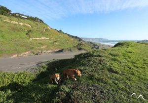 Balade dans les dunes de Matanzas au Chili
