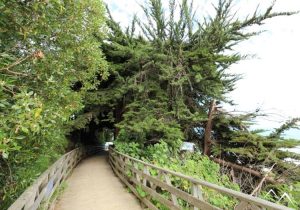 Balade à La Boca au Chili