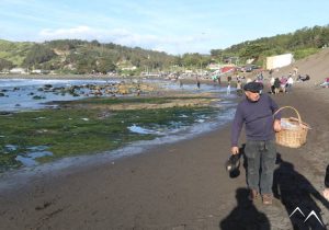 Balade sur la plage de Matanzas