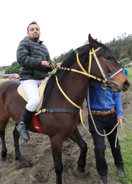 Cavalier sur son cheval à la Carrera a la chilena