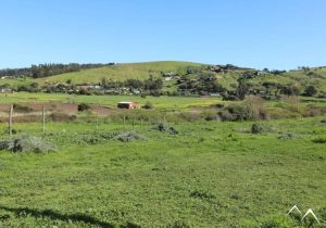 La Vega de Pupuy région de Valparaíso