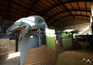 Expo baleines