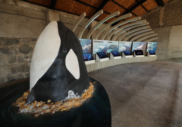 Fondation Quintay, intérieur