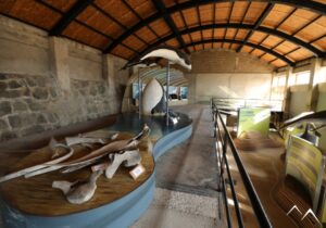 Intérieur et expo Fondation Quintay