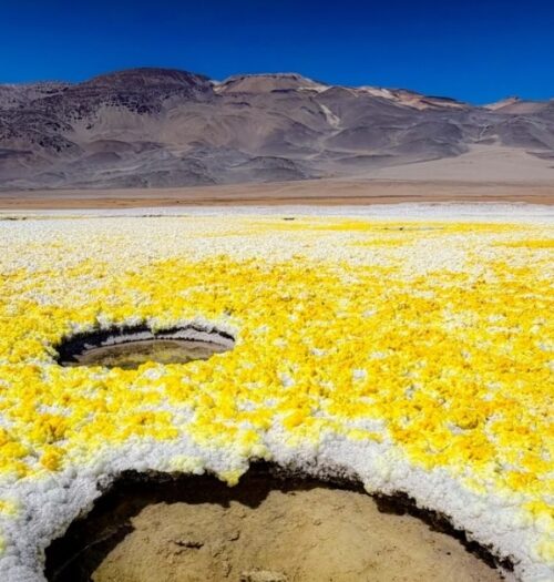 Salar de Gorbea, région de Copiapó, Chili